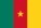drapeau Cameroun