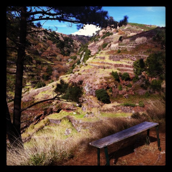 23/01/12 : 1ère journée de trekking avec Allibert sur la côte ouest de Madère