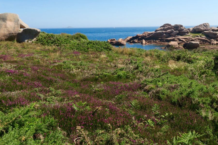 A l’Accostage met le cap vers le tourisme durable