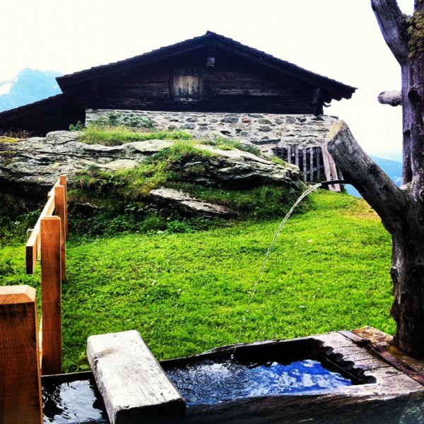 Abreuvoir - Musée d'alpage Nagulschbamu - Aletsch, Suisse