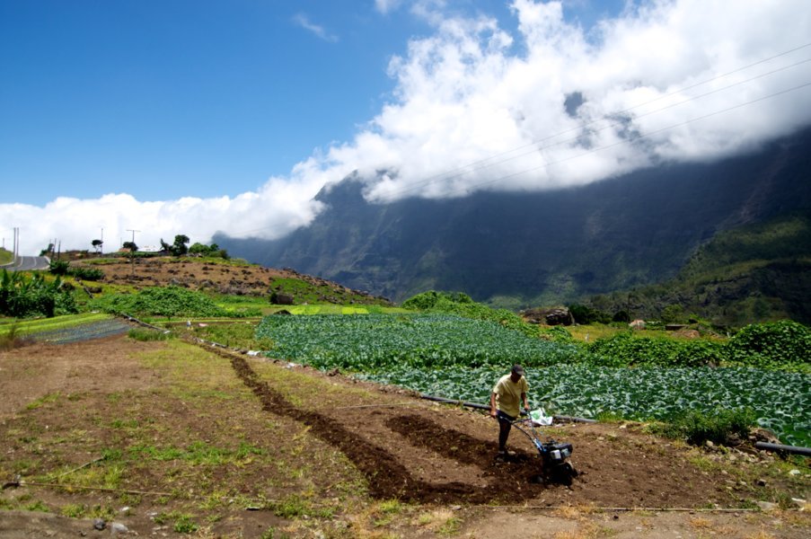 Agriculteur dans le village d'Ilet à Cordes - Le Tapacala, maison d'hôtes à Ilet à Cordes - La Réunion