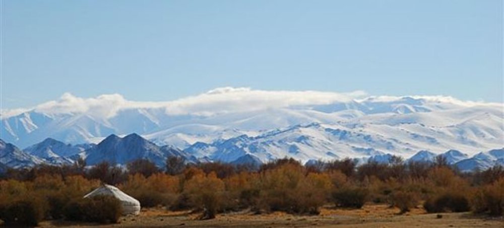Altaï Mongol