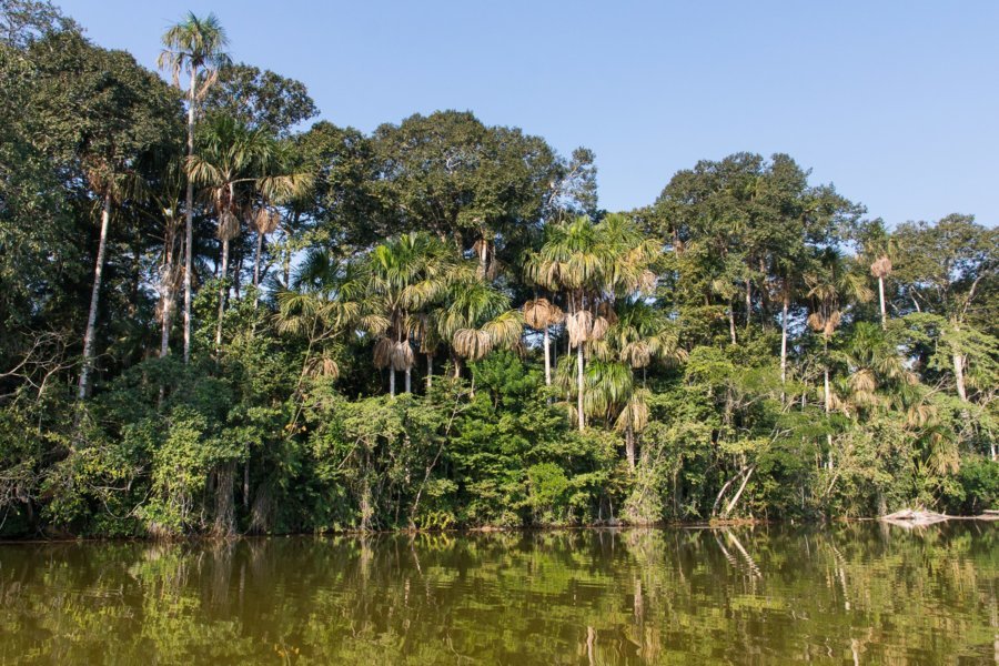 Amazonie - Bolivie