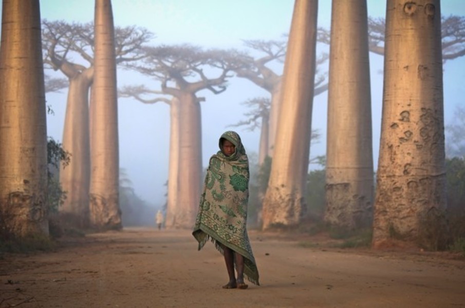"An Ancient Forest", Ken Thorne, Madagascar - National Geographic Traveler - Photo Contest 2012