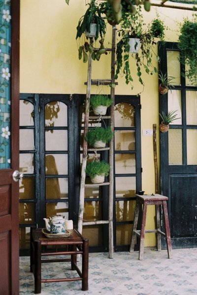 Annie’s Little Hanoi