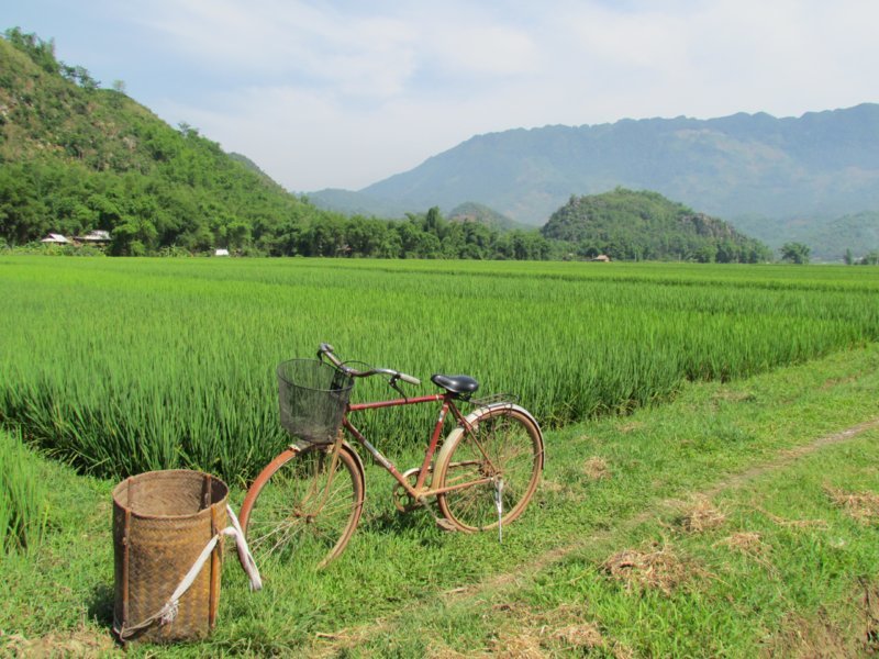 Au bord de la rizière - Le Vietnam sincère et solidaire avec l'agence Un Voyage Pas Comme les Autres... 