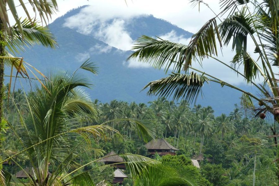 Au pied du Mont Batukaru - "Bali Eco Stay" : sous les rizières, le paradis