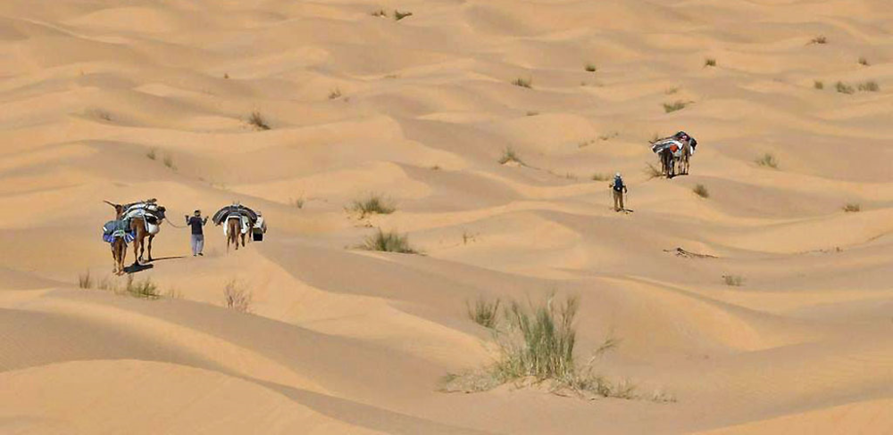 Avec les nomades tunisiens à la porte du Sahara