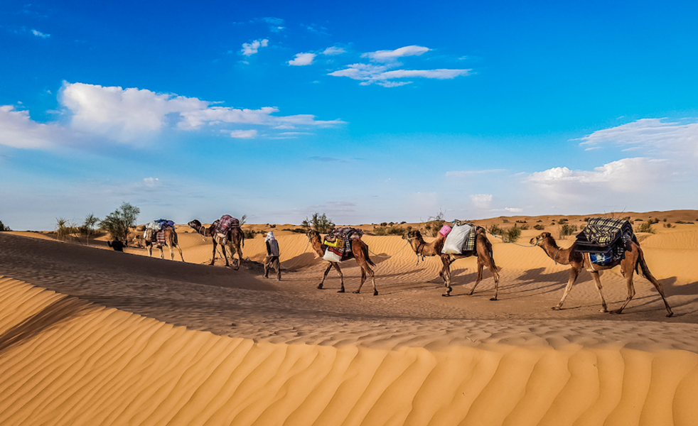 Avec les nomades tunisiens à la porte du Sahara
