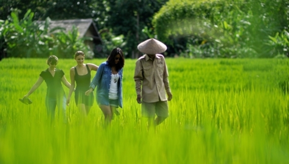 Balade à travers les vertes rizières aux abords du Kamu Lodge, Laos