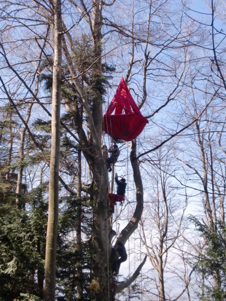 Bivouac arboricole - Amarok - L'esprit nature, agence de voyage en immersion dans la nature