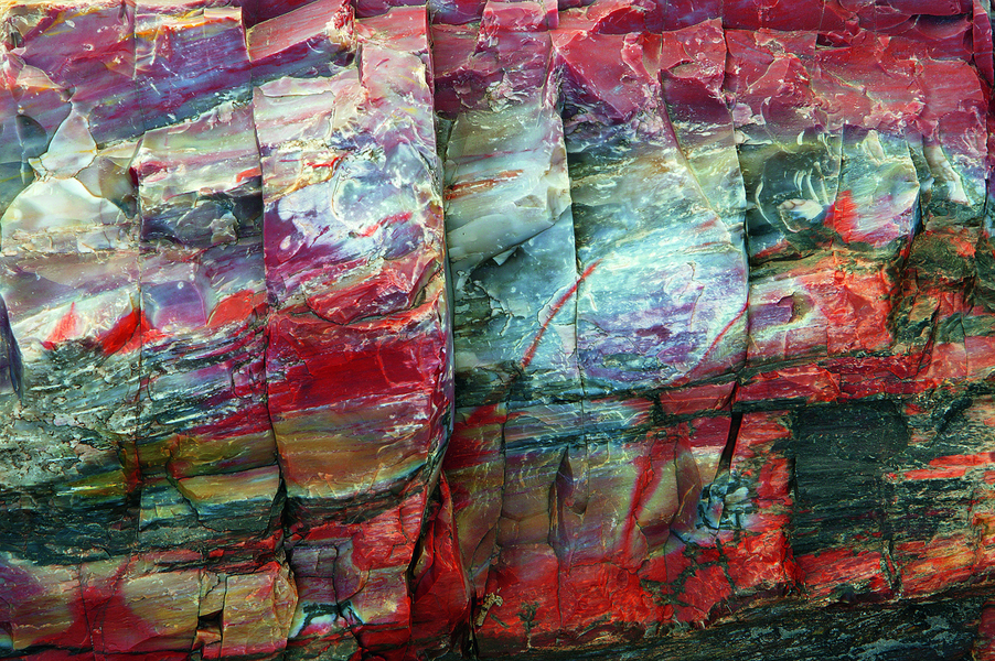 Bois pétrifié, parc national de Petrified Forest, Arizona, États-Unis. Le bois pétrifié est un bois fossilisé. Celui-ci date de près de 200 millions d’années.