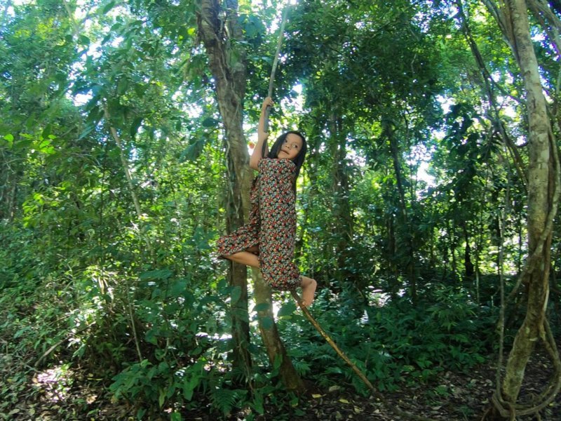 Bonampak, jungle Lacandone