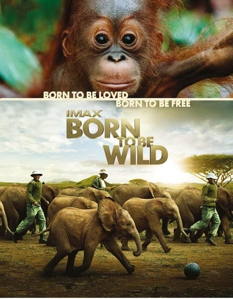 "Born to Be Wild" à la Géode