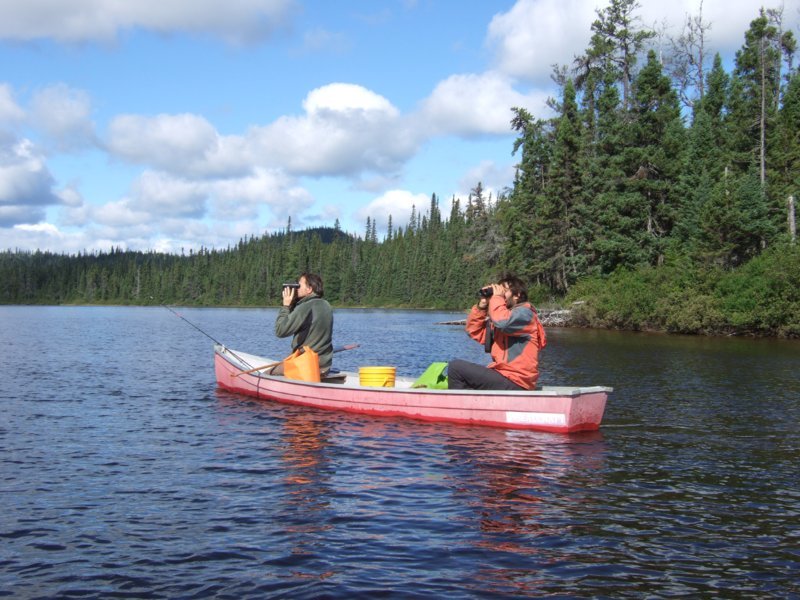 Cabane au bord du lac - Amarok - L'esprit nature, agence de voyage en immersion dans la nature