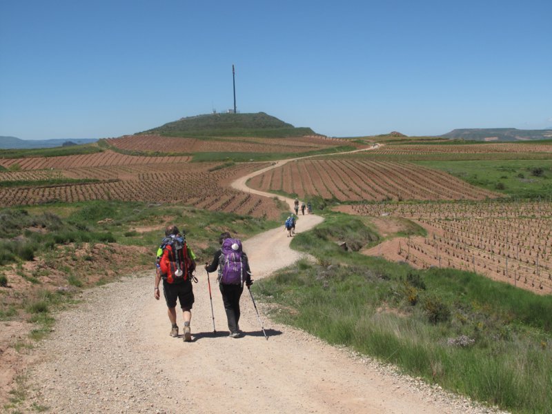 Camino Francès - Via Compostela