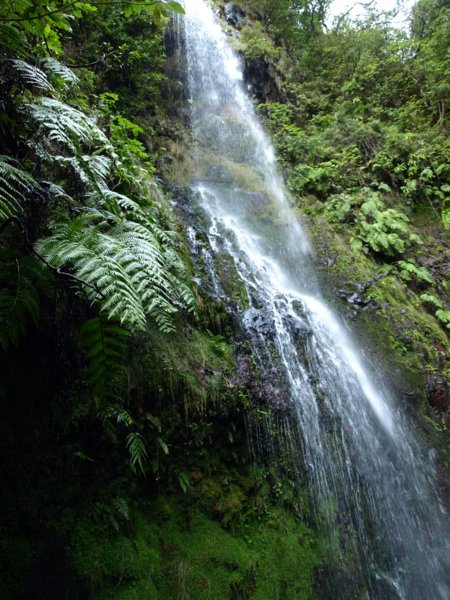 Cascade