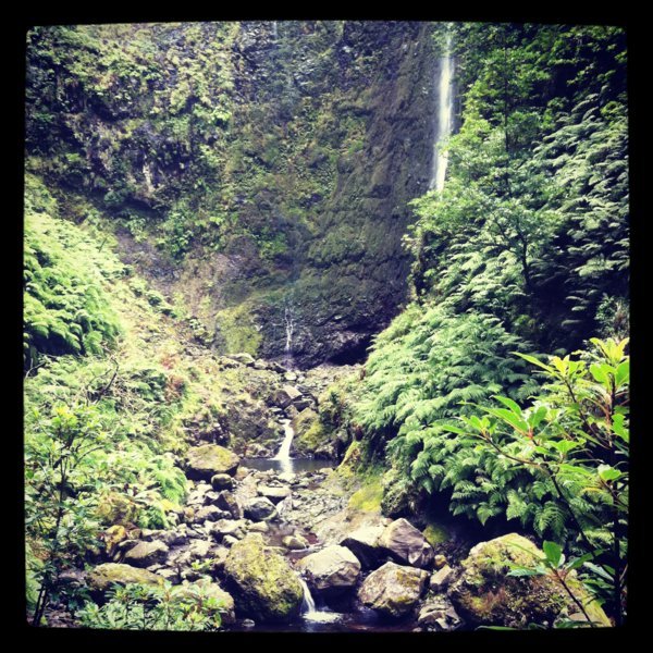 Cascade au coeur du Chaudon Vert (Caldeirão Verde)