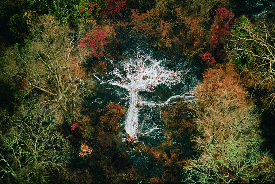 Cendres d’un arbre près des monts Gorohoui Kongoli, Côte d’Ivoire. Allumés par des éleveurs ou des cultivateurs, les feux débroussaillent la savane. Les cendres, agissant comme un engrais naturel, stimulent la régénération rapide des plantes fourragères e