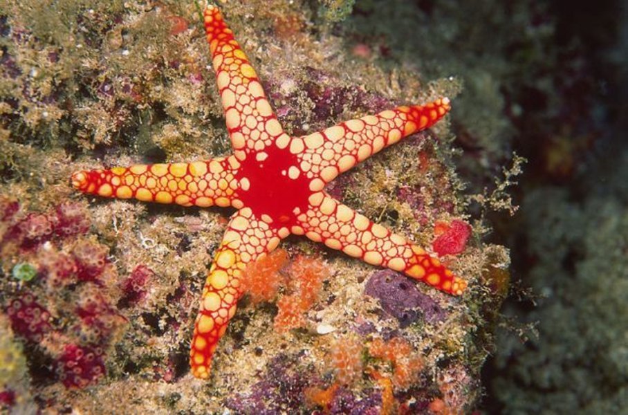 Circuit "Cabotage dans les Maldives" par Terres d'Aventure