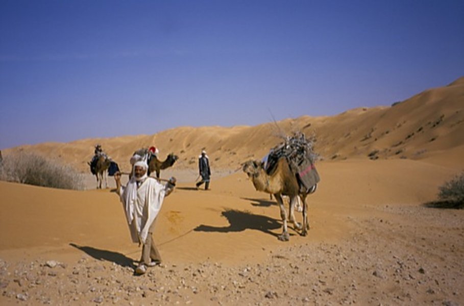 Circuit "l'aventure des sables" - Allibert Trekking