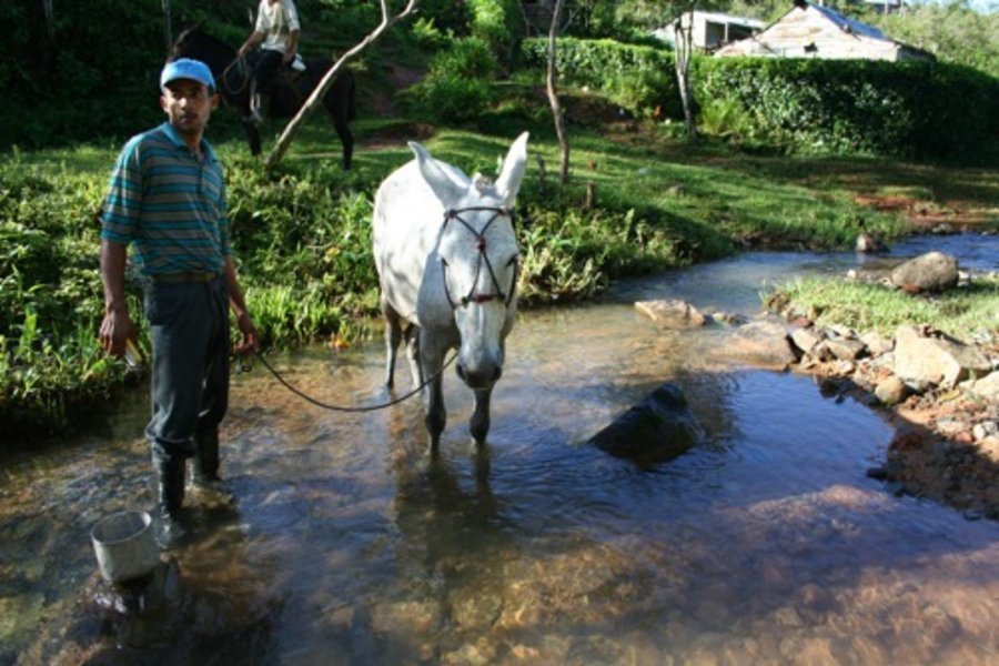 Circuit "La perle des tropiques" à Cuba par Allibert Trekking