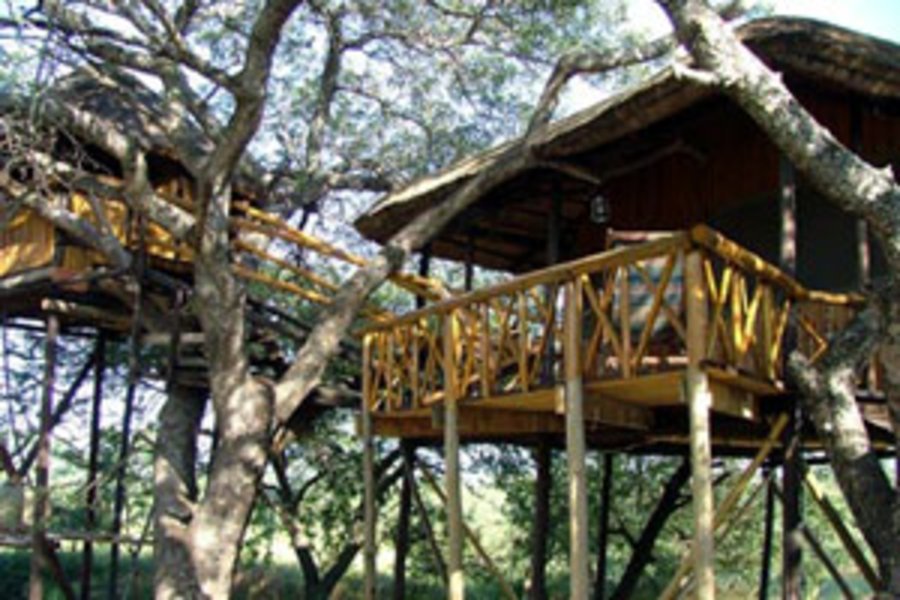 Circuit "Ma cabane dans les arbres" en Afrique du Sud par l'agence Nomade Aventure