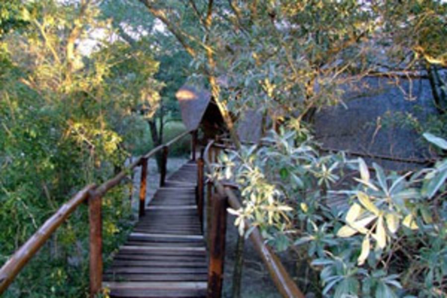 Circuit "Ma cabane dans les arbres" en Afrique du Sud par l'agence Nomade Aventure