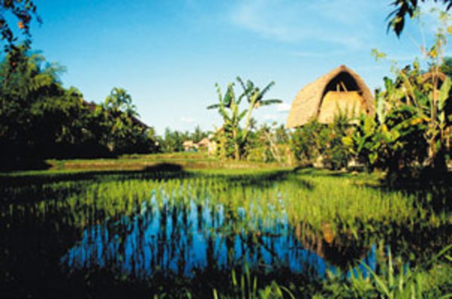 Circuit "Rizières et volcans de Bali" par Nomade Aventure