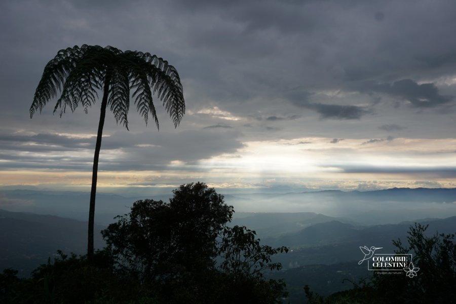 Colombie