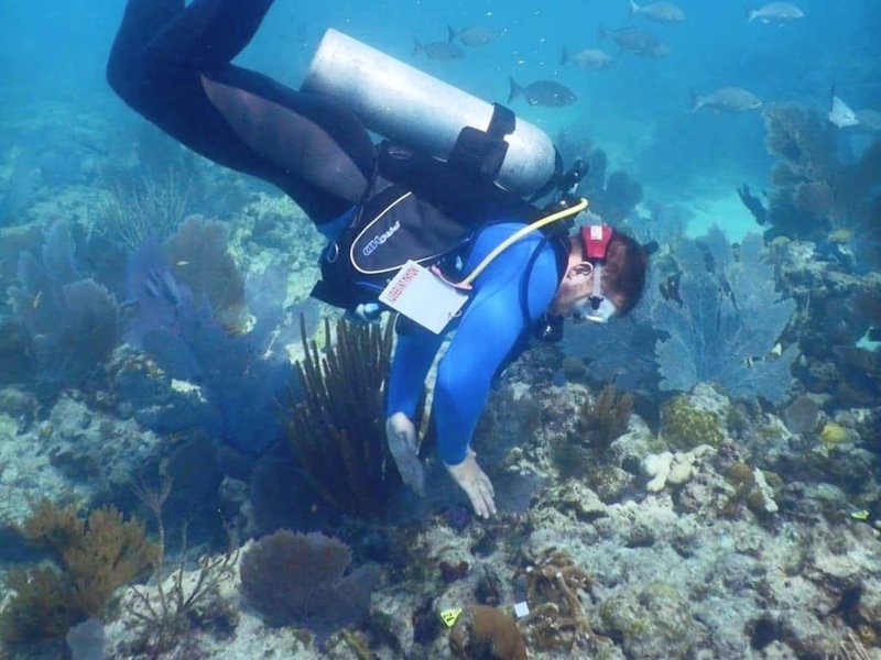 Coral Restoration Foundation et Rainbow Reef : plonger pour la préservation des coraux en Floride