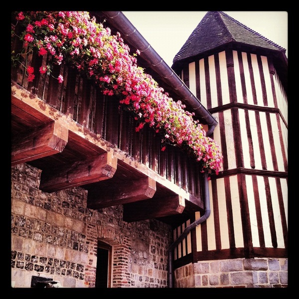 coursives de plein air au premier étage de la Maison Henri IV, chargées de géraniums qui dispensent encore de belles touches de couleurs à cette époque de l'année, Saint-Valéry-en-Caux, Seine-Maritime, Haute-Normandie