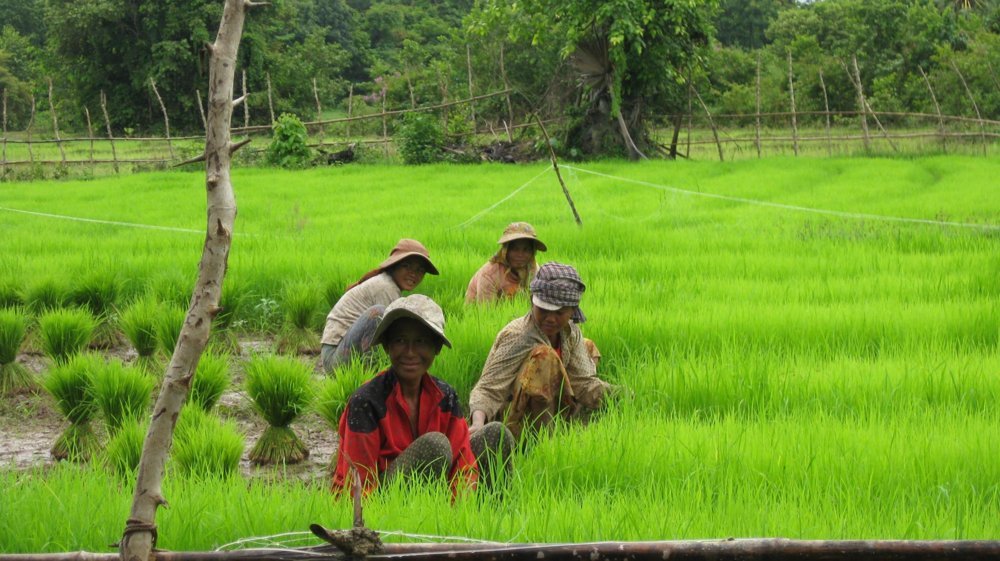 Dans les rizières du Cambodge avec l'agence solidaire "Double Sens"