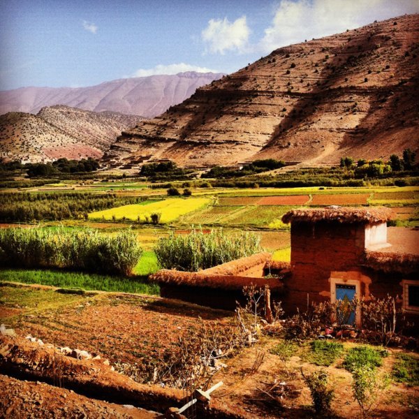 Décor somptueux aux montagnes rouges, aux cultures vertes, au ciel bleu pur - Gîte "Chez Ali" à Agouti, au coeur de la vallée des Aït Bougmez - Maroc