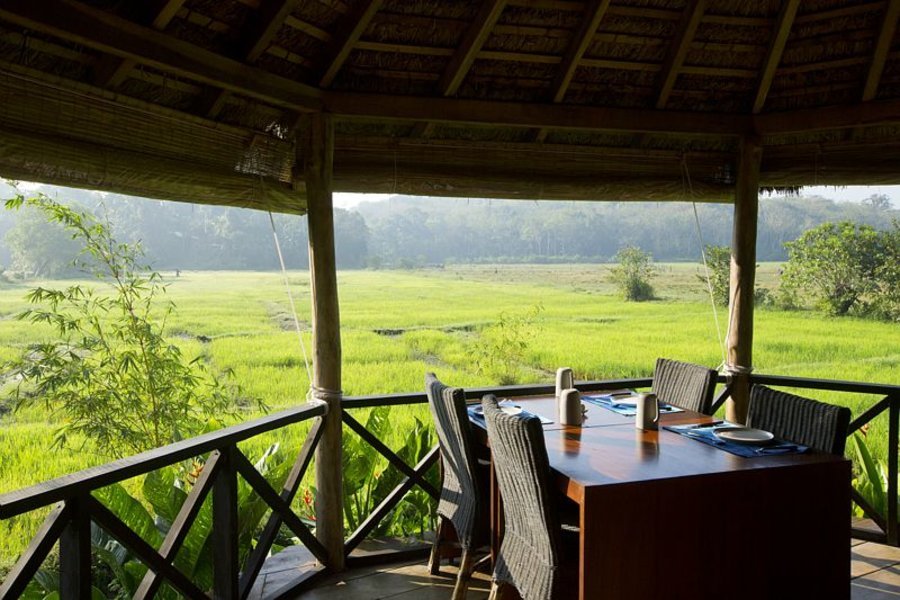 Déjeuner avec vue sur la rizière - Huma Terra Green Lodge - Hikkaduwa, Sri Lanka
