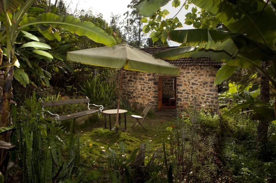Des cottages fondus dans la végétation - Elephant Valley, un ecolodge caché au beau milieu du Tamil Nadu - Inde