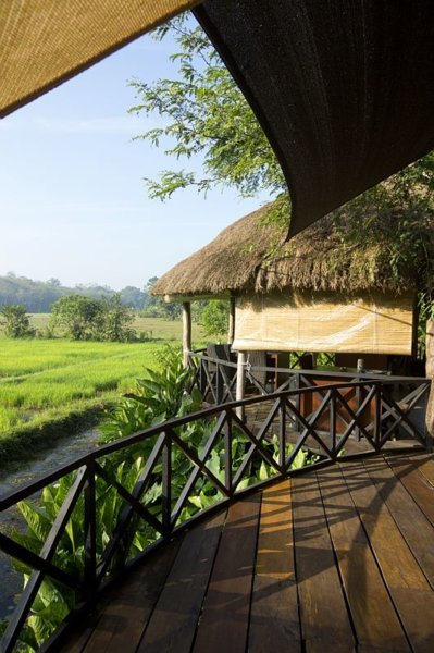 Des rizières tout autour - Huma Terra Green Lodge - Hikkaduwa, Sri Lanka