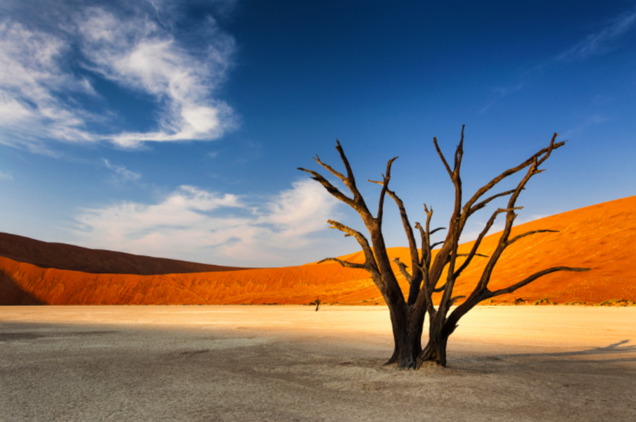 Désert du Namib - Le Point-Voyages