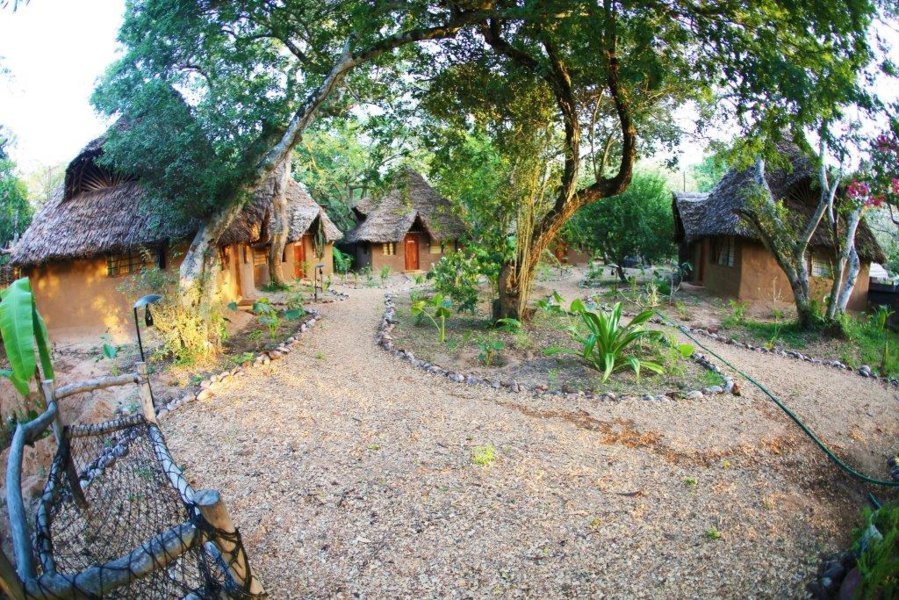 Distant Relatives - Kilifi Ecolodge & Backpackers - Kenya