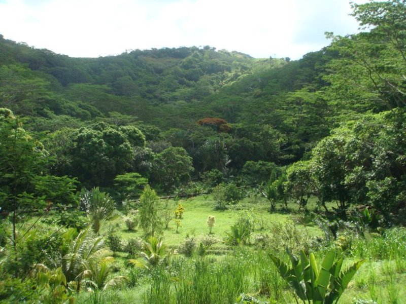 Domaine Chazal