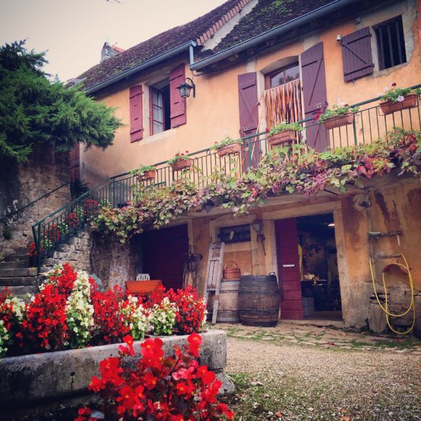 Domaine viticole en biodynamie - Caves Bourdy - Arlay, Jura, France