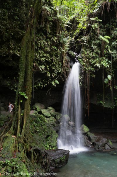 Emerald Pool, au coeur de la forêt - La Dominique, coeur vert des Caraïbes