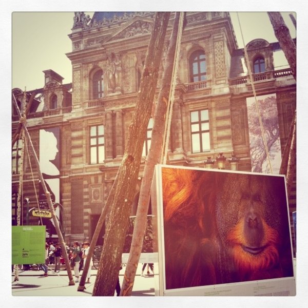 Expo "Des forêts et des hommes" place du Palais-Royal à Paris
