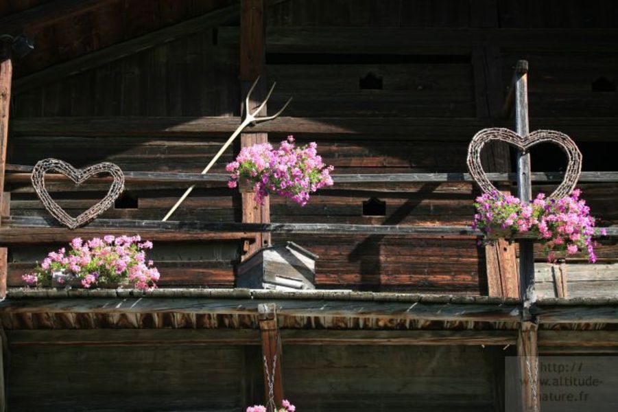 Façade d'un chalet de montagne
