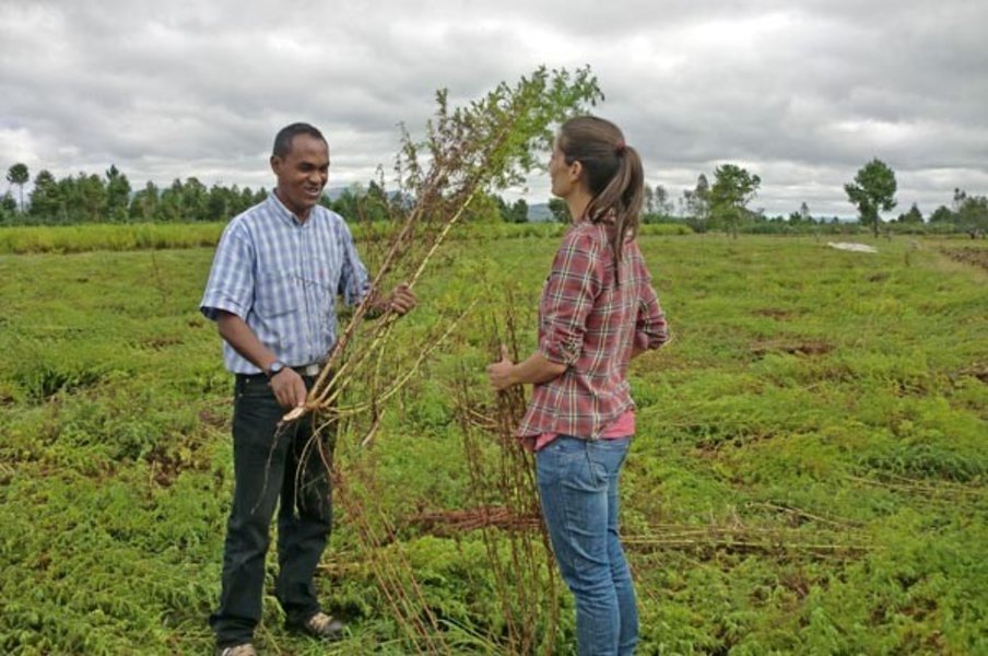 "Faut pas rêver" à Madagascar