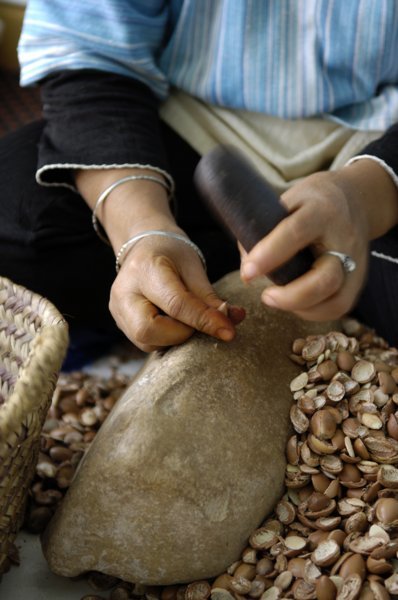Femme marocaine pilant les noix d'argan, Coopérative Ajddigue, commune de Tidzi, Maroc