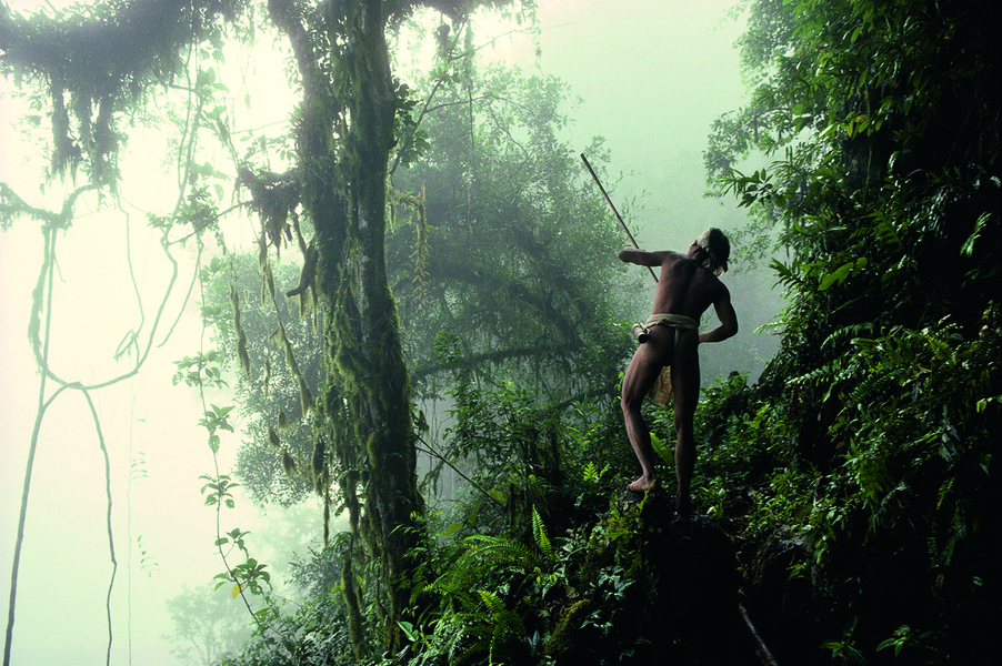 Forêt de Palawan, Philippines. Les Taw Batu vivent au cœur de la vallée de Signapan, sur l’île de Palawan. Leur nombre ne dépasserait pas 200 personnes.