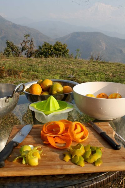 Fruits et légumes bios du jardin - French House Eco-Bivouac - Pokhara, Népal