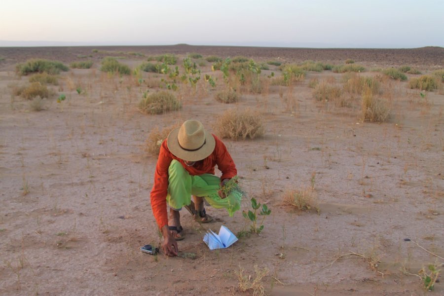 Graines De Désert, l’agrotourisme aux portes du Sahara