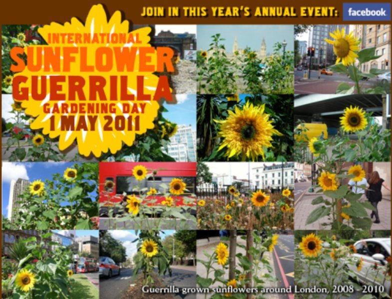 Guerrilla Gardening 2011